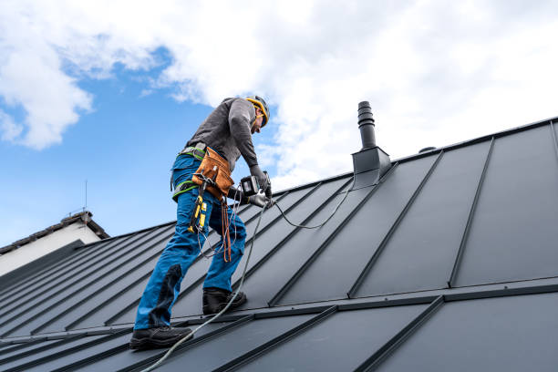 Best Solar Panel Roofing Installation  in Ben Wheeler, TX