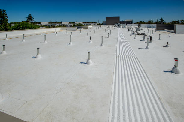Best Roof Maintenance and Cleaning  in Ben Wheeler, TX